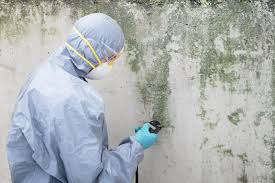 Why You Should Choose Our Mold Remediation Services in El Dorado Springs, MO